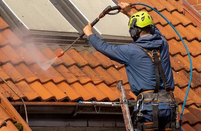 Démoussage et hydrofuge de toiture à Montrottier